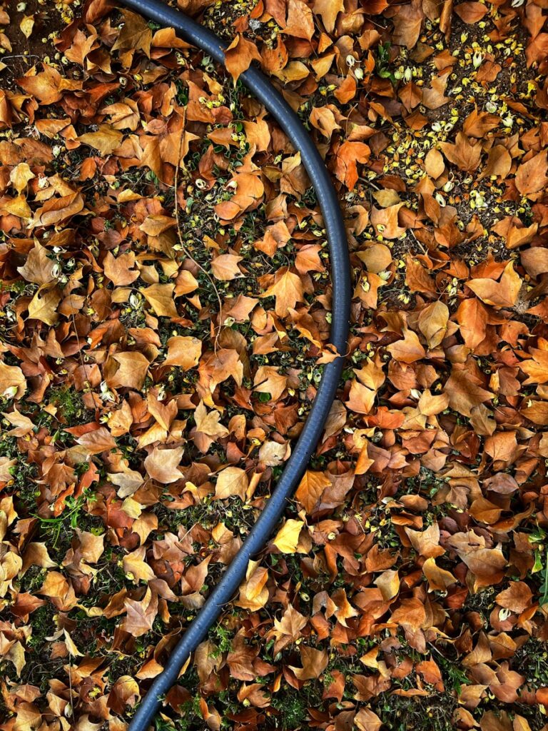 a hose laying on top of a pile of leaves
