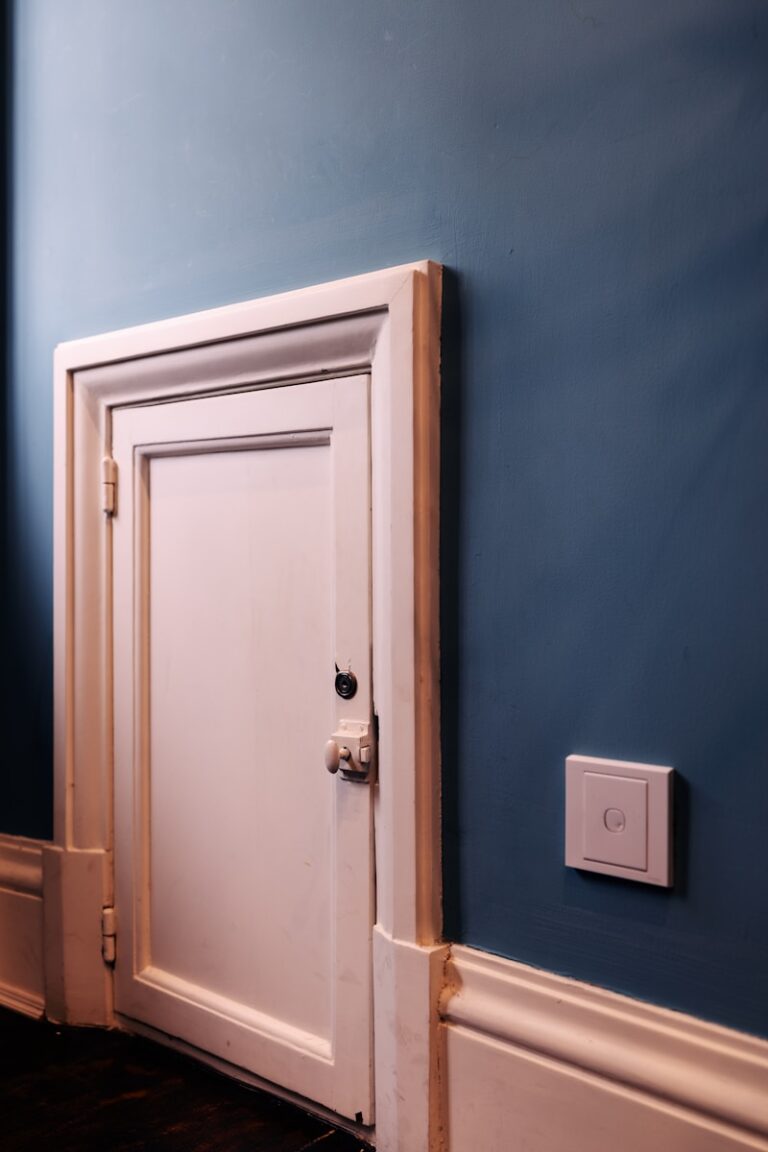 A small, white door set in a blue wall.
