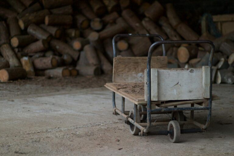 Muffigen Geruch aus Holz entfernen – altes Holz in einem Schuppen