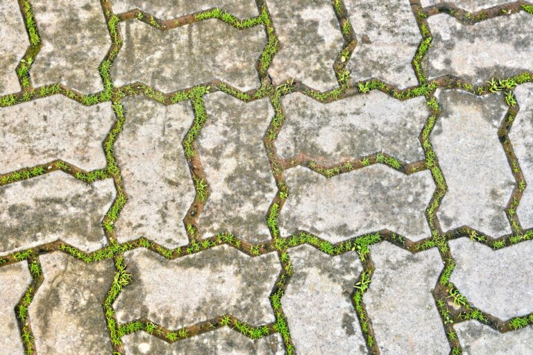 Betonplatten streichen – Verbundsteine im Außenbereich