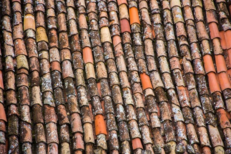 Dachziegel lackieren: Sinnvoll oder nicht? Dachziegel lackieren – verwitterte Tondachziegel mit Flechten