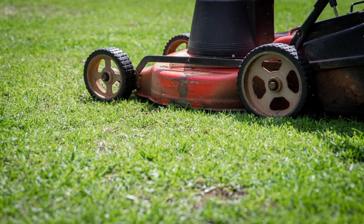 Rasenwalze selber bauen – Rasenmäher schneidet Gras