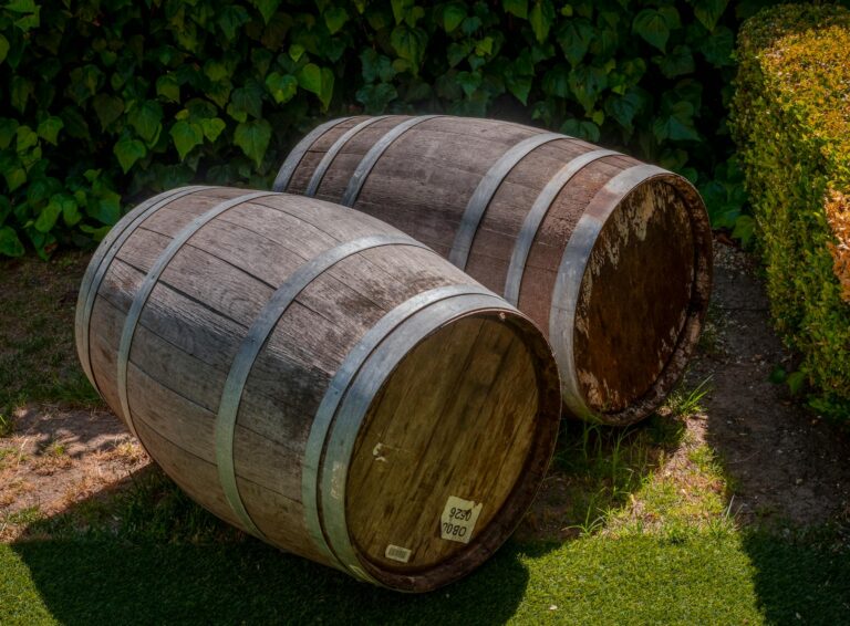 Regentonne Überlauf selber bauen – Holzfässer im Garten