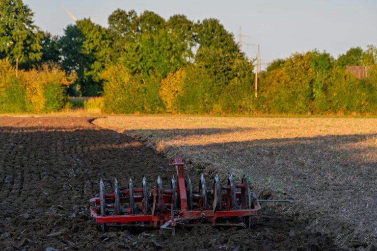 Wiesenschleppe selber bauen: Anleitung für Heimwerker Wiesenschleppe selber bauen – rote Scheibenegge auf gepflügter Wiese