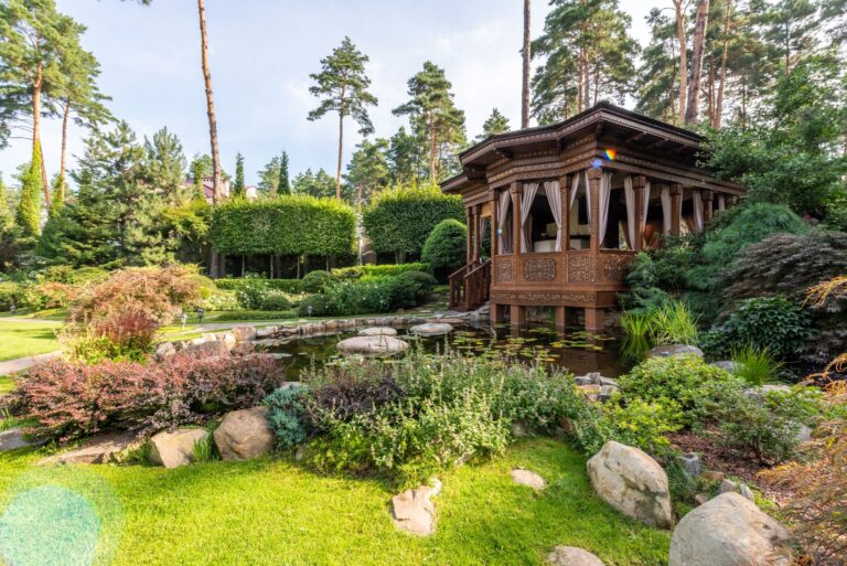 Gartenteich anlegen – angelegter Gartenteich mit Bepflanzung