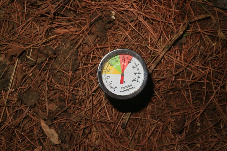 Kompost anlegen – Thermometer steckt in einem Komposthaufen