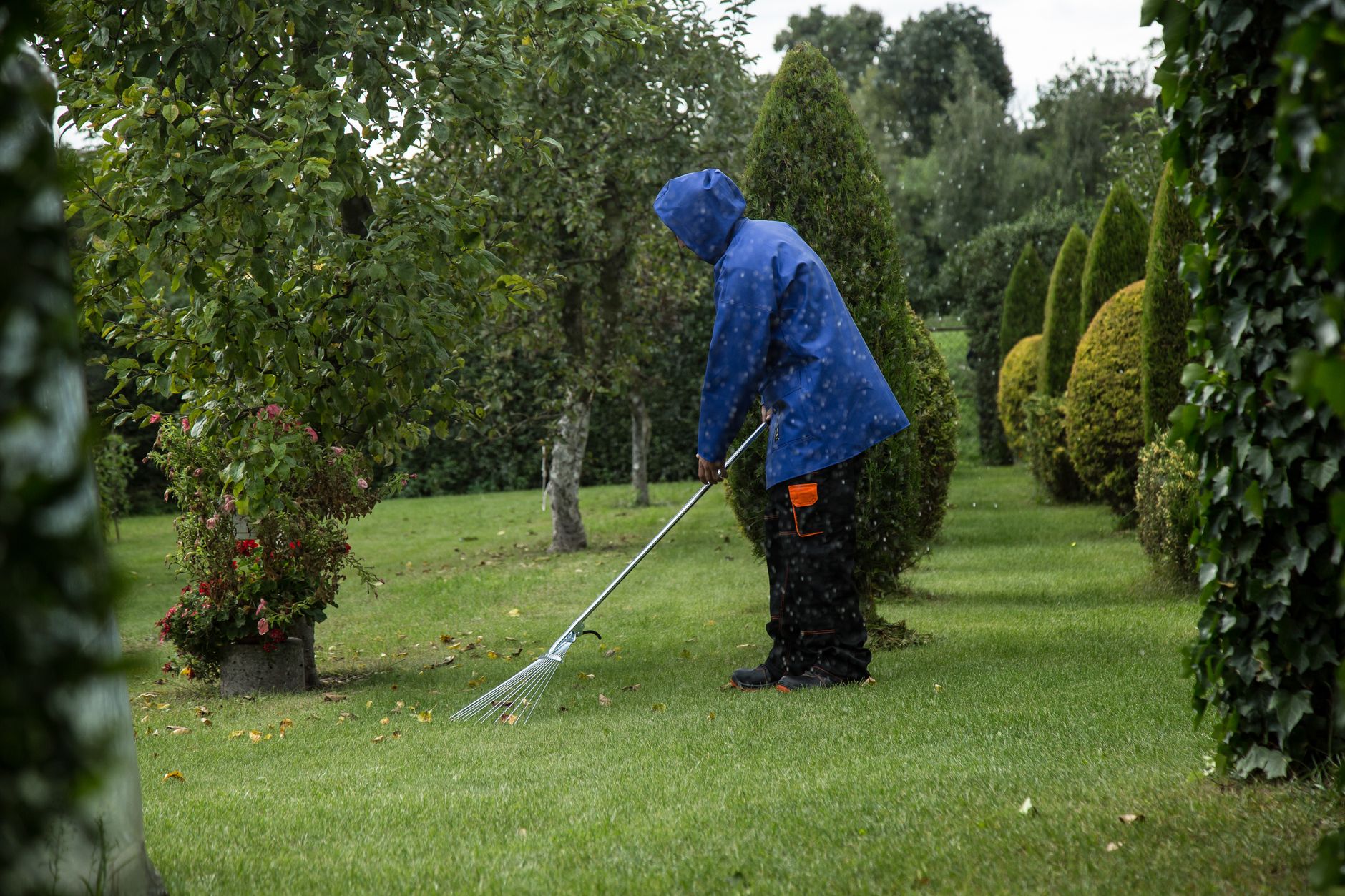 Rasen vertikutieren – Gartenarbeit auf der Rasenfläche