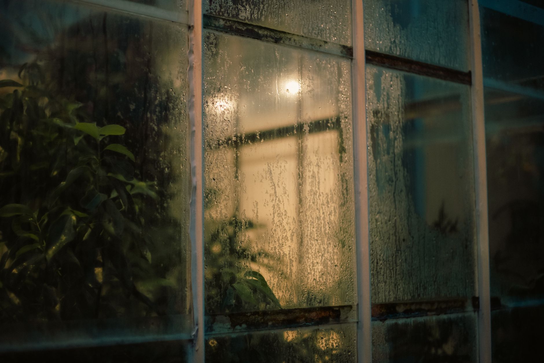 Schimmel vorbeugen durch Lüften – Kondensfeuchte an einer Fensterscheibe