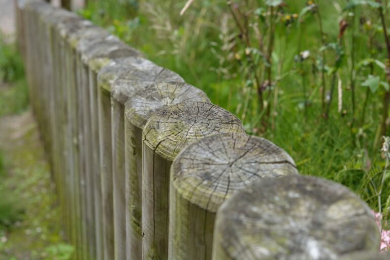 Zaunpfosten einbetonieren – Reihe stabiler Holzpfosten eines Gartenzauns