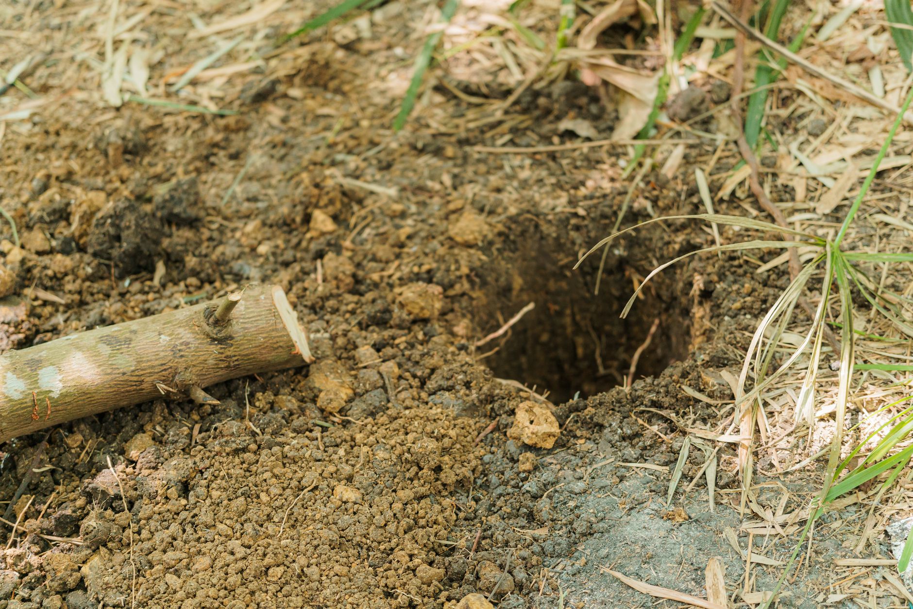 Zaunpfosten einbetonieren – ausgehobenes Pfostenloch im Gartenboden