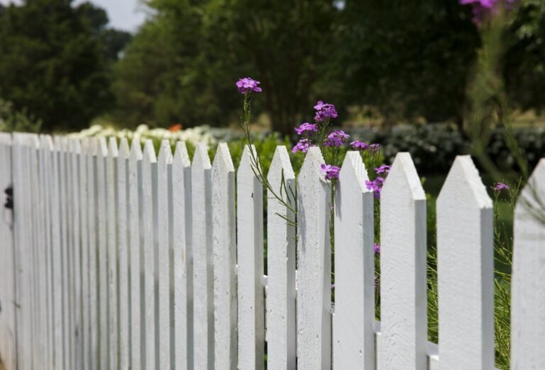 Holzzaun: Ein Baustoff, der mit dem Garten altert pink petaled flowers blooms near fence