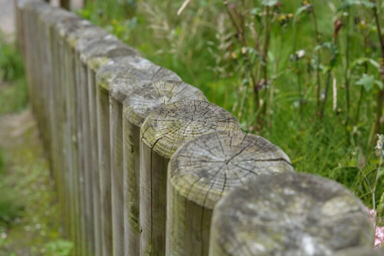 Holzzaun: Ein Baustoff, der mit dem Garten altert Holzzaun – verwitterte Zaunpfähle aus Holz am Rand einer Wiese