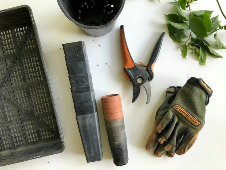 Die wichtigsten Gartengeräte für jede Jahreszeit black pruning shears beside green gloves