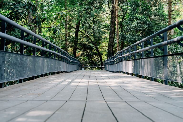 GFK-Lösungen für Brückenkonstruktionen – Fußgängerbrücke mit Geländer im Wald